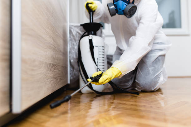 Professional Pest Control in Havana, IL