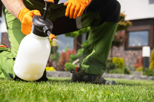 Best Termite Control Services  in Havana, IL