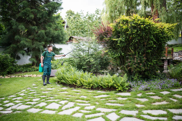 Best Ant Control Services  in Havana, IL