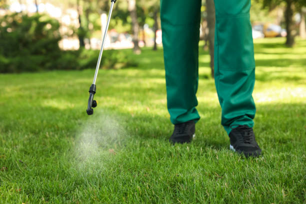 Best Pest Control for Businesses  in Havana, IL