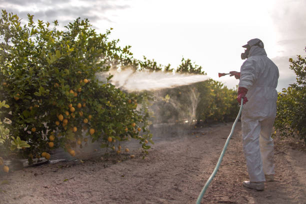 Best Local Pest Control Services  in Havana, IL