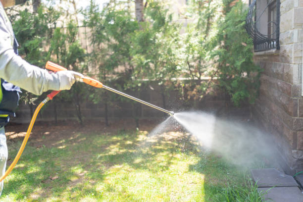 Best Flea Control Services  in Havana, IL