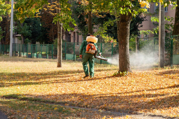 Best Affordable Pest Control Services  in Havana, IL