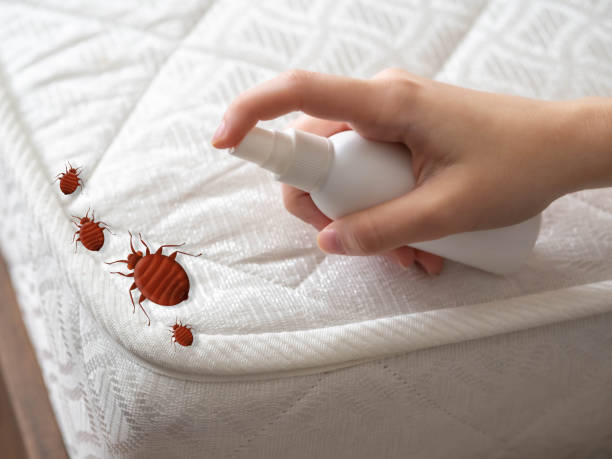 Best Residential Pest Control  in Havana, IL