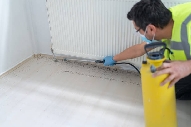 Best Cockroach Control Services  in Havana, IL