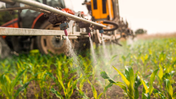 Best Wildlife Control Services  in Havana, IL